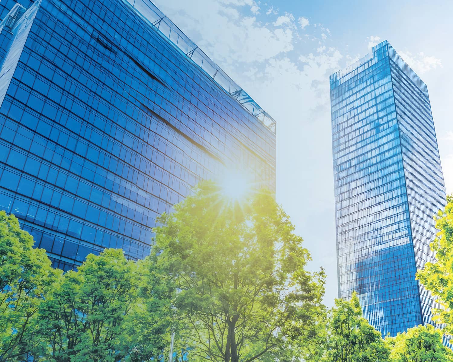 OUR GROUP グループ紹介